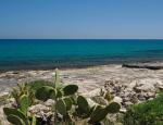 sicilyvillas en heavenly-mid-july-holiday-in-sicily-35-discount-on-your-seaside-holiday-home-o22 016